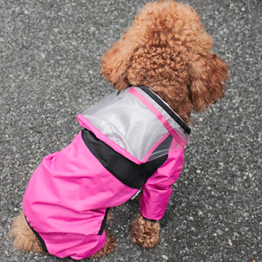 The Dog Face Raincoat for Dogs