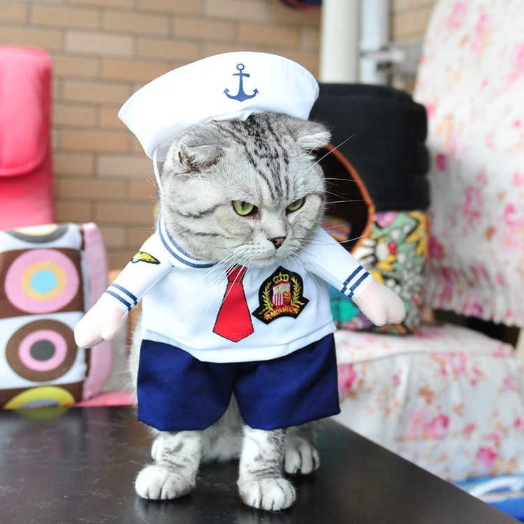 Funny Pets Costumes