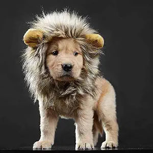 The Purr-Fect Lion Mane Costume For Cats & Small Dogs