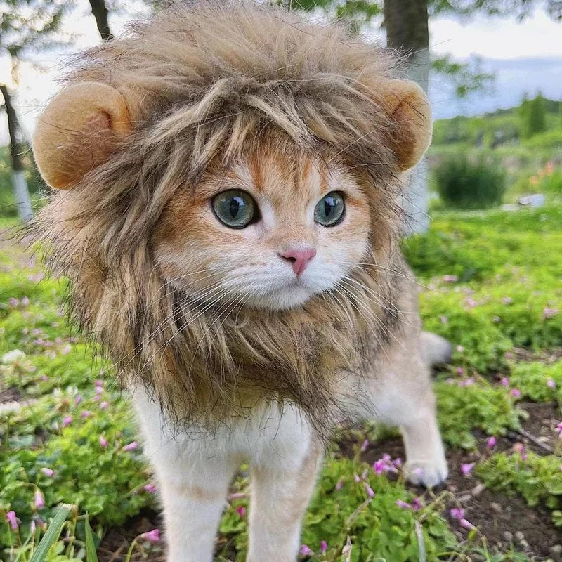 The Purr-Fect Lion Mane Costume For Cats & Small Dogs